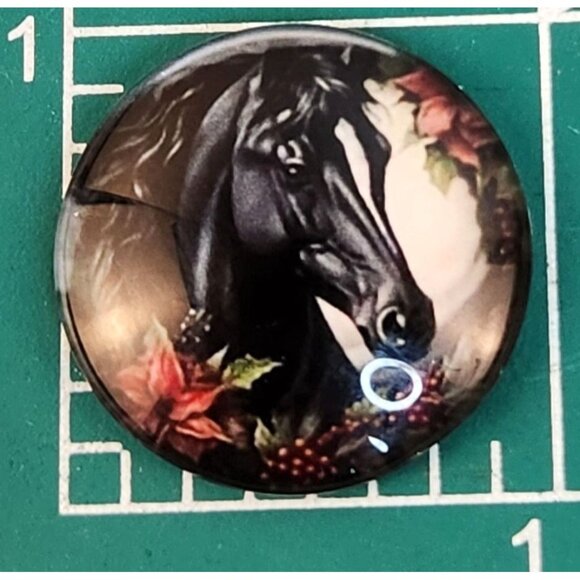 Set of 2 Black Horse Glass Cabochons 1 Inch Round, Floral Dome Craft Supply for - Picture 6 of 6